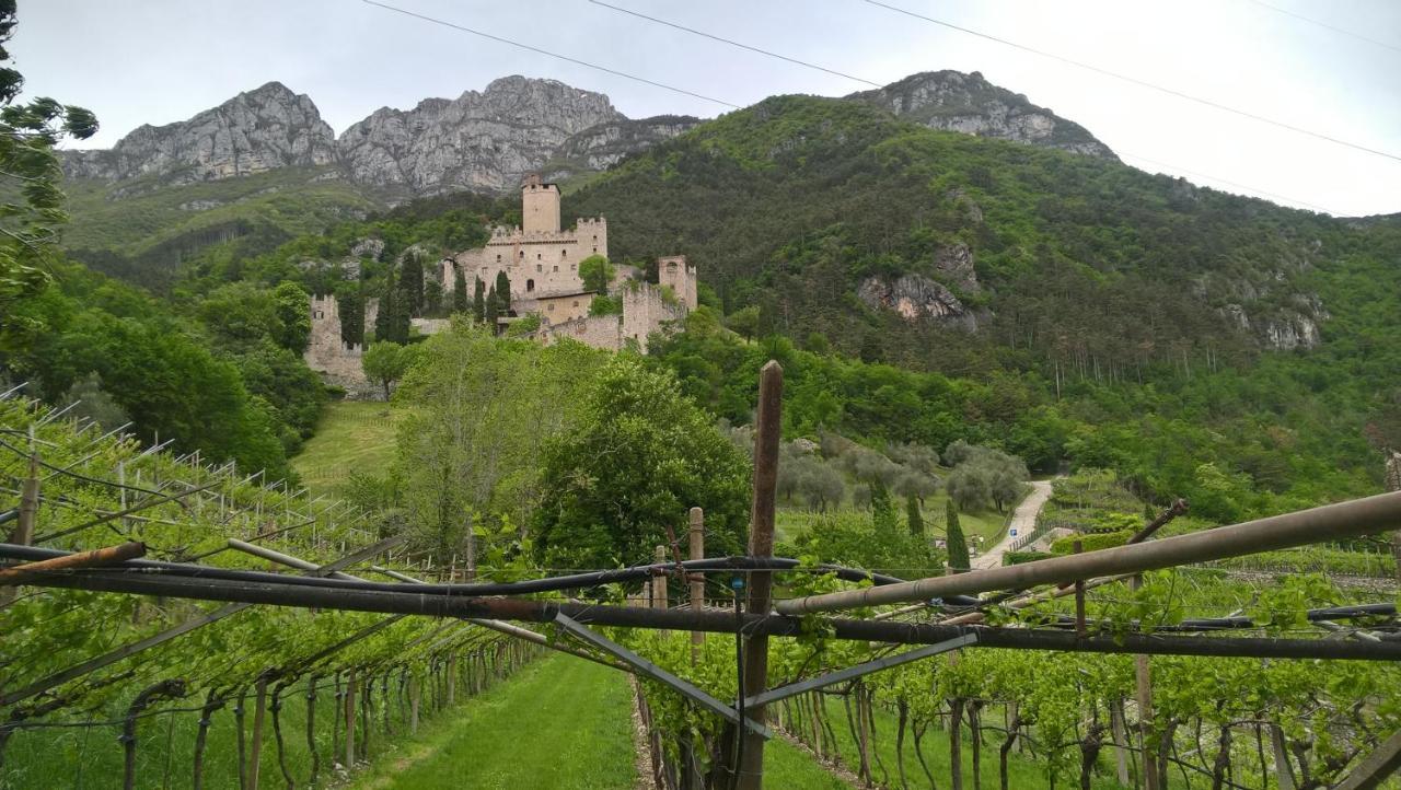Appartamenti Camere Masi Brenta Rovereto  Esterno foto