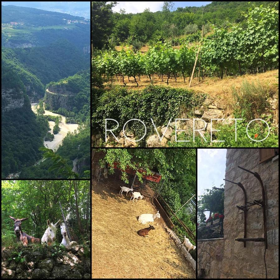 Appartamenti Camere Masi Brenta Rovereto  Esterno foto