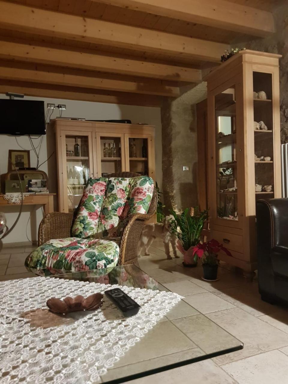 Appartamenti Camere Masi Brenta Rovereto  Esterno foto